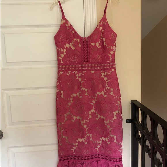 gianni bini camilla lace dress